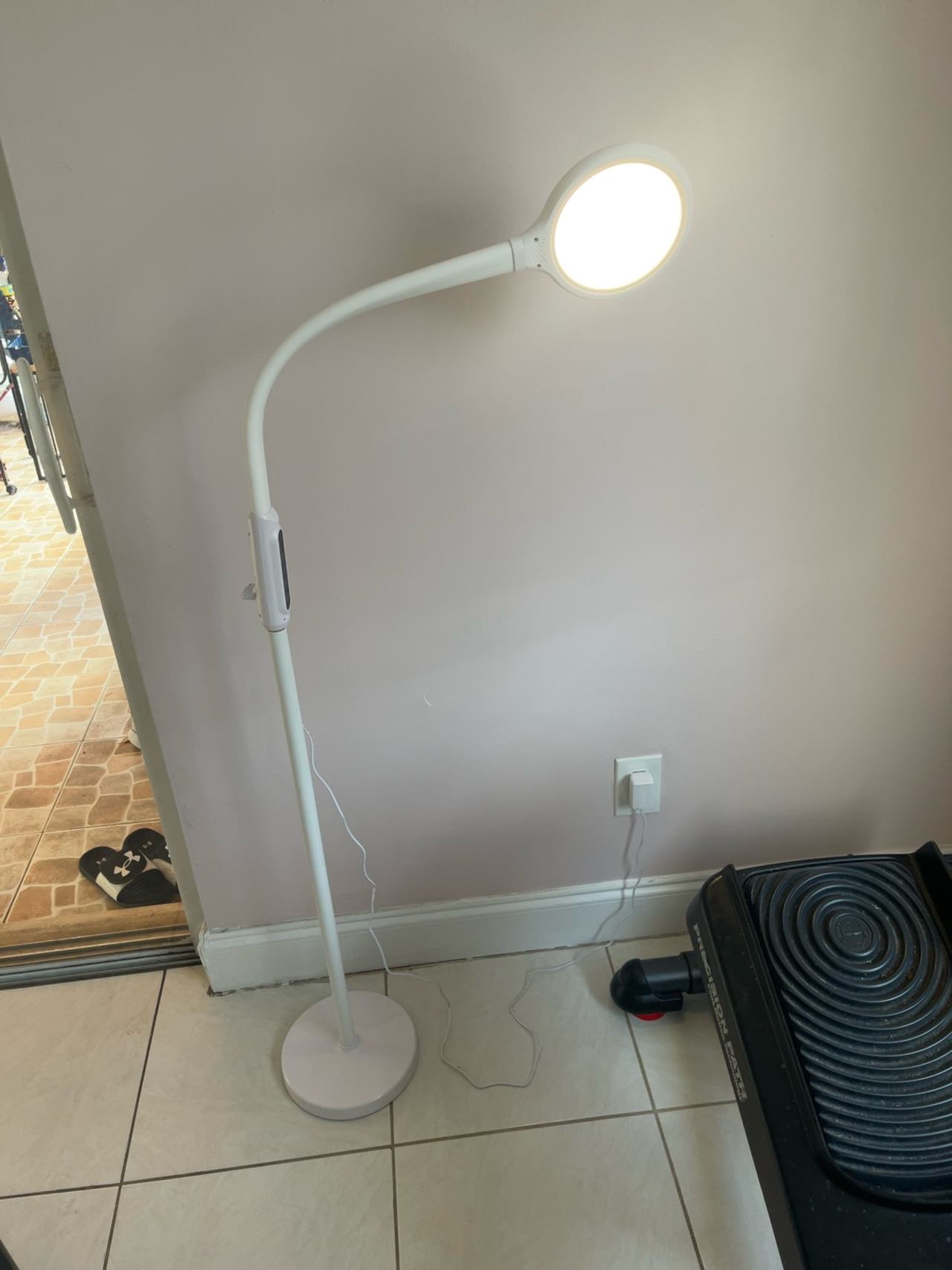 Duo Light Therapy & Task Floor Lamp NEW 