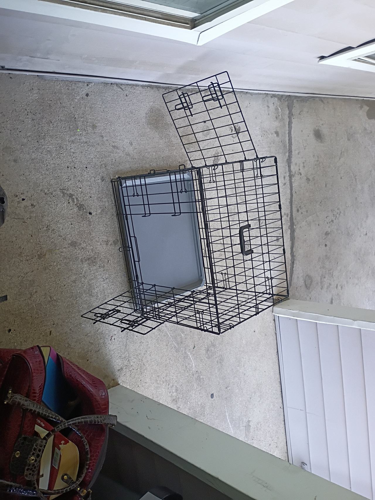 MidWest iCrate Double Door Folding Metal Dog Crate