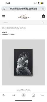 HUGE Black Cockatoo framed Canvas Art Print RRP $485 - Image 3