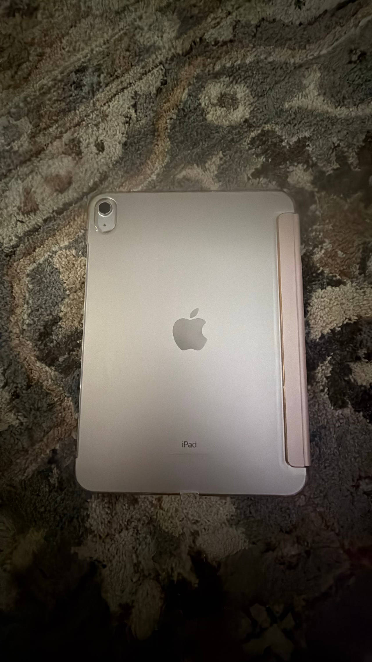 Apple iPad