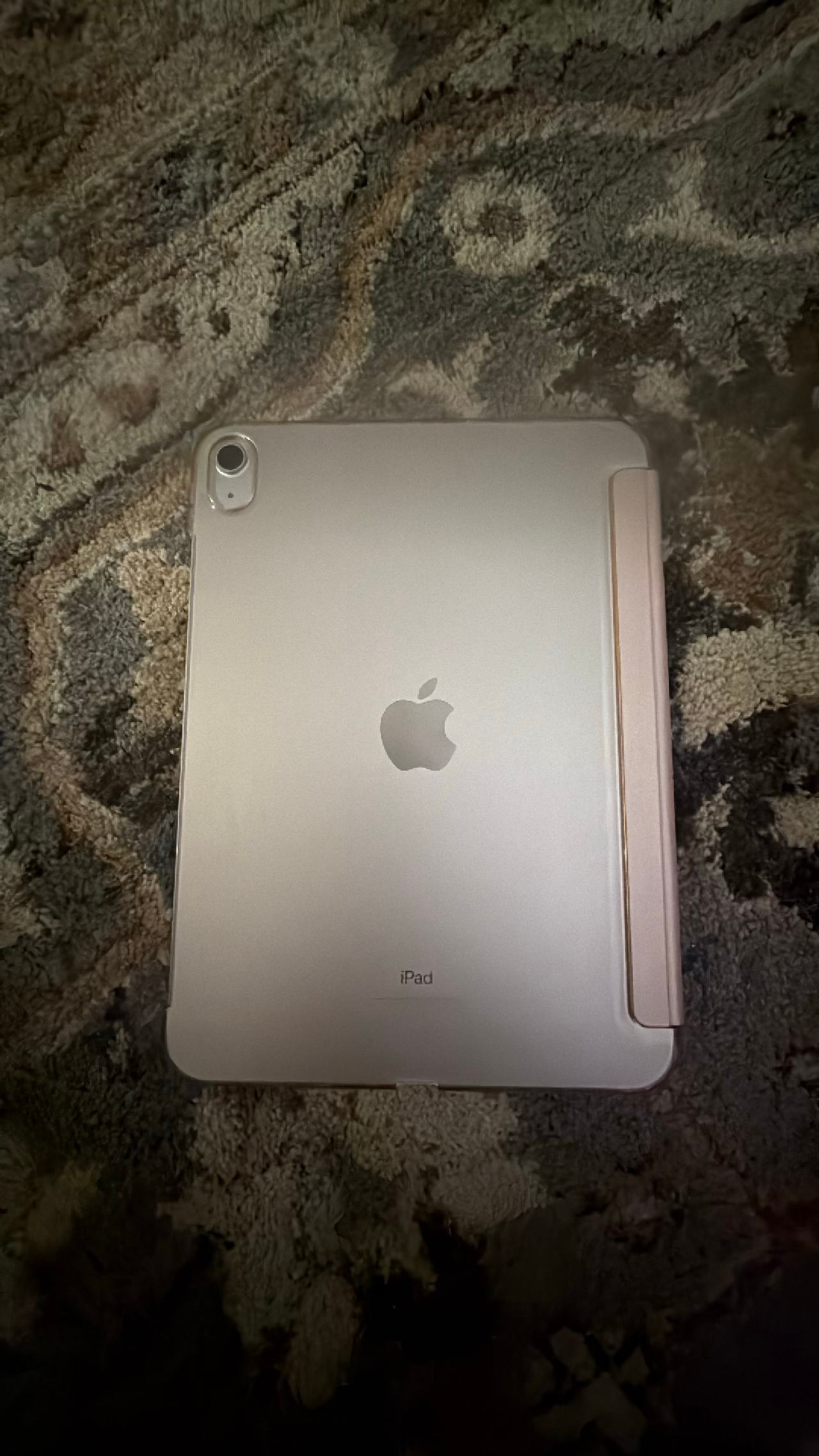 Apple iPad
