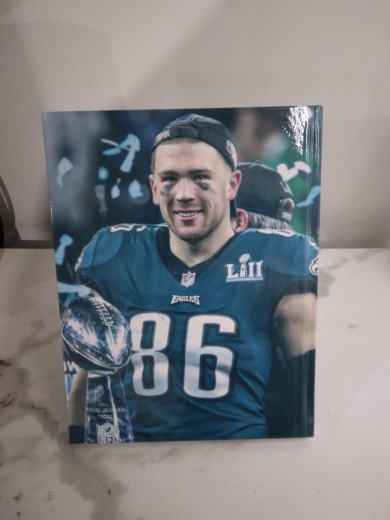 Champs: Philadelphia Eagles Super Bowl LII Champions Hardcover Book