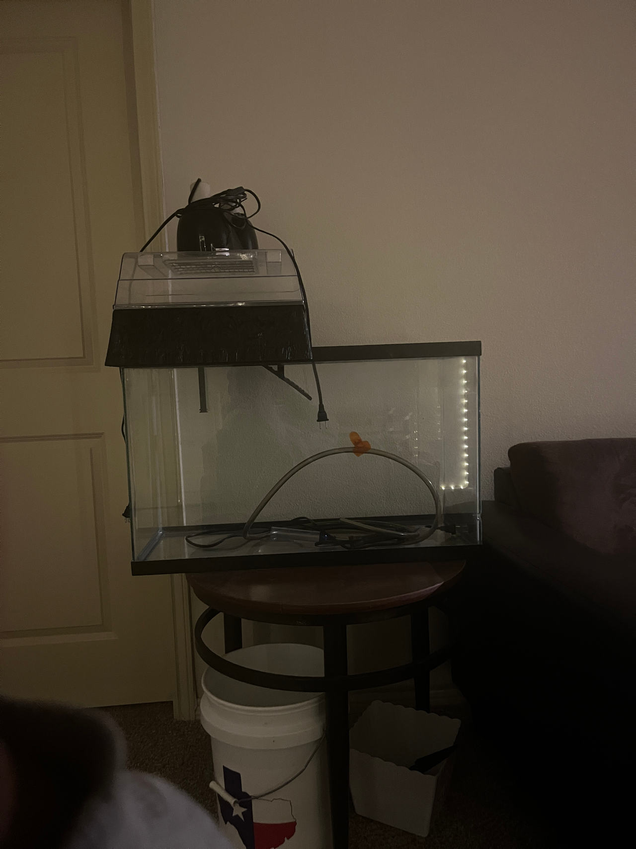 Glass Aquarium Starter Kit