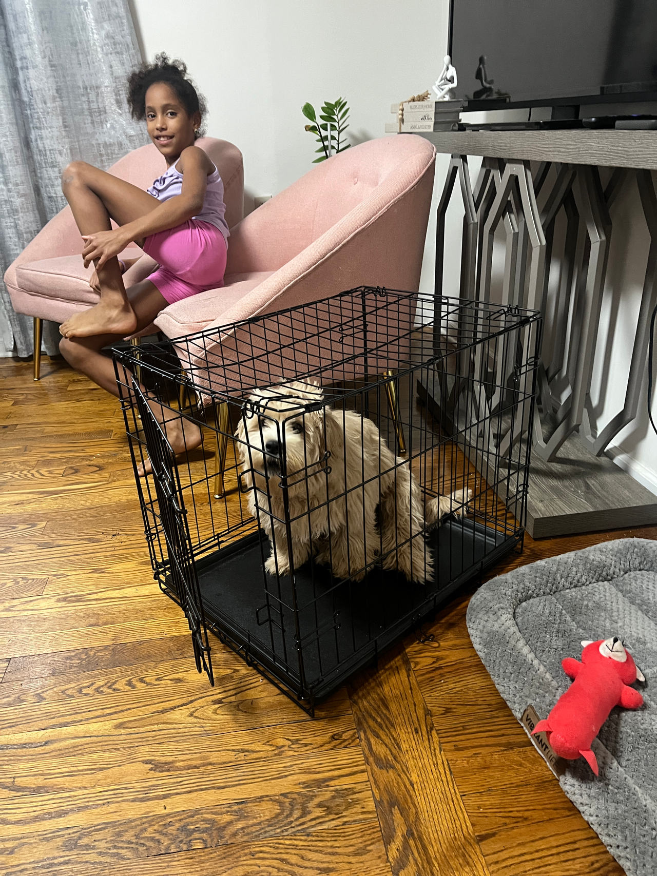 Wire Dog Crate