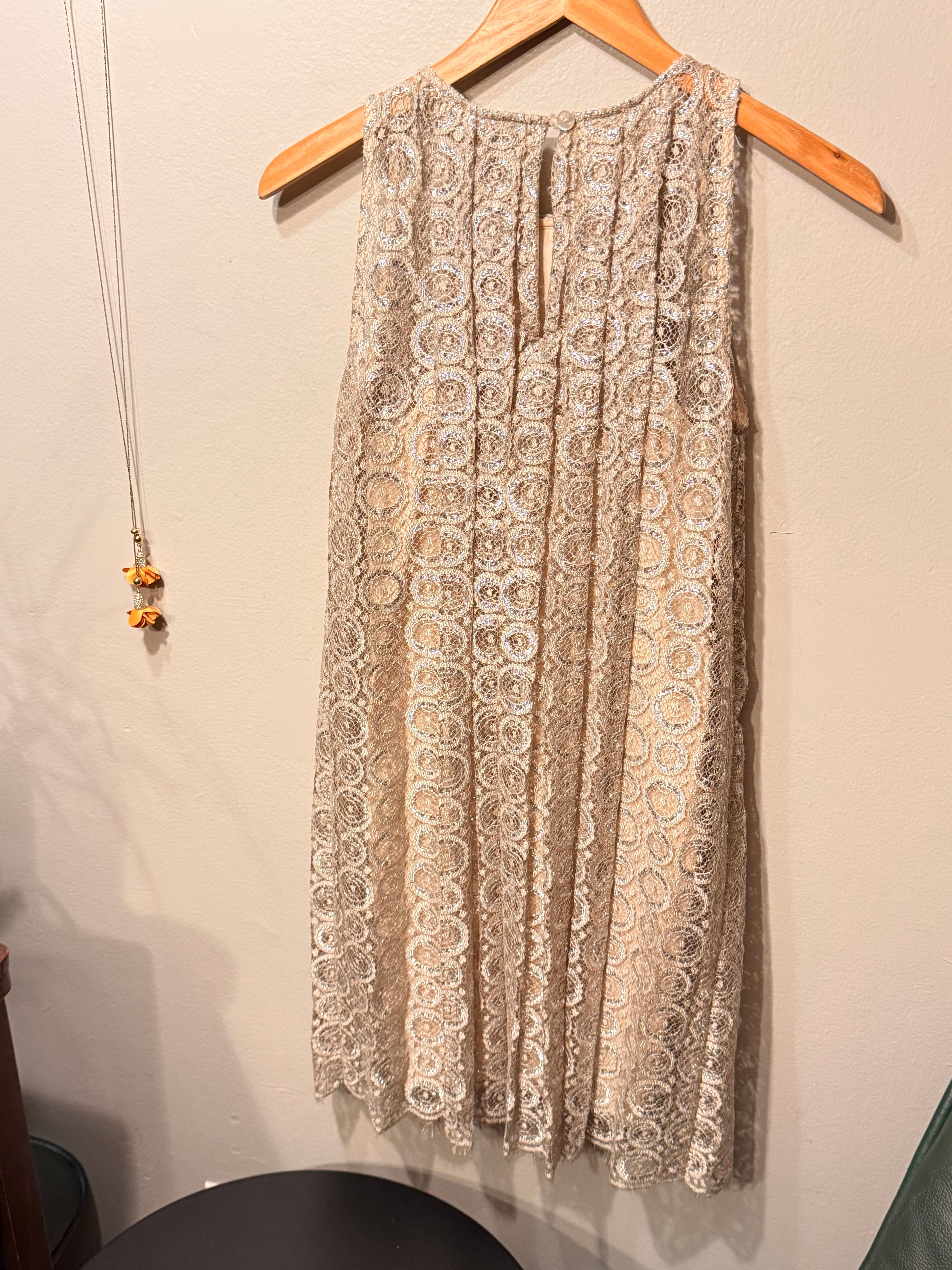 Anthropologie Silver & Gold Lace Dress - Image 4