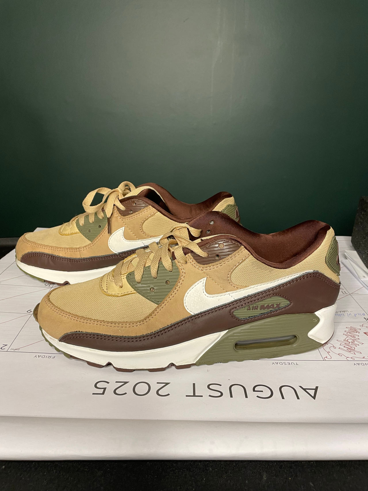 Nike Air Max 90 size 10