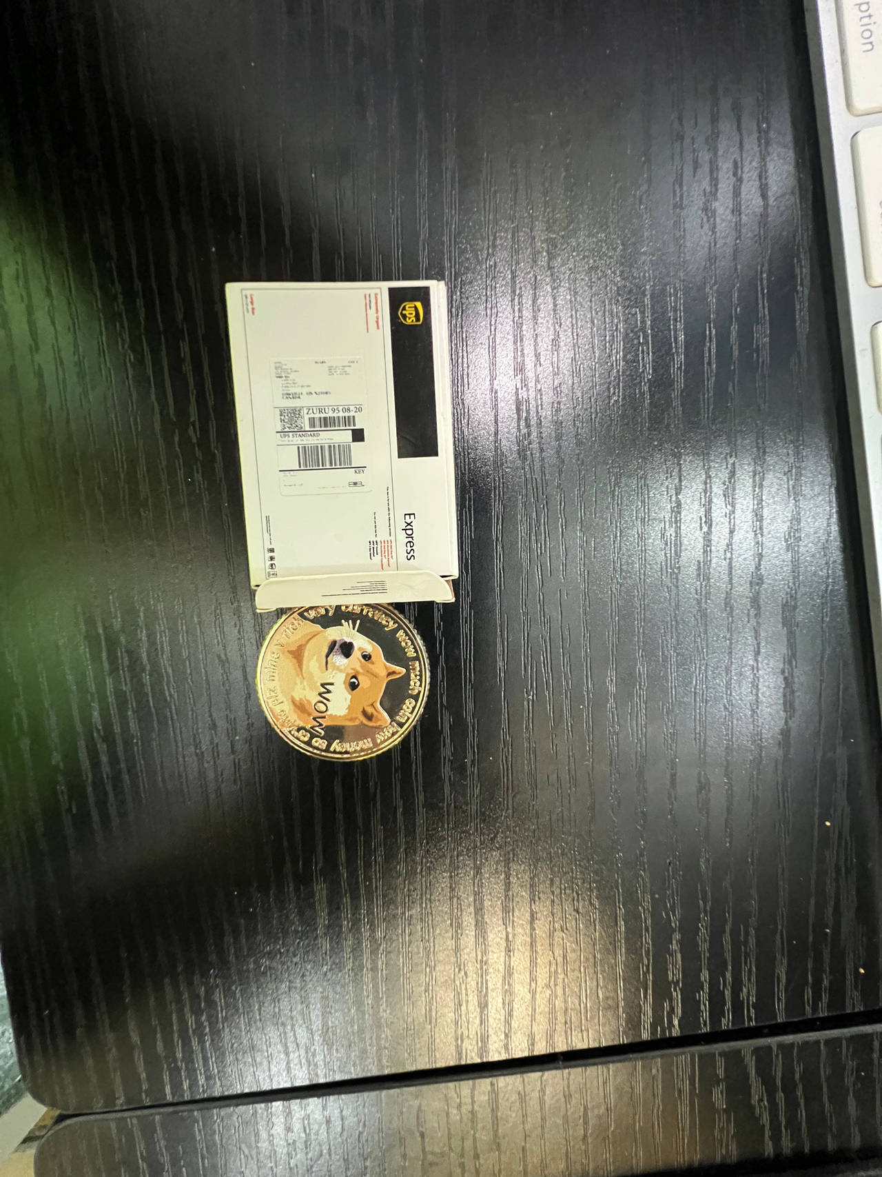 Zuru 5 Surprise Mini Brands Series 5 collectible,  a miniature Dogecoin