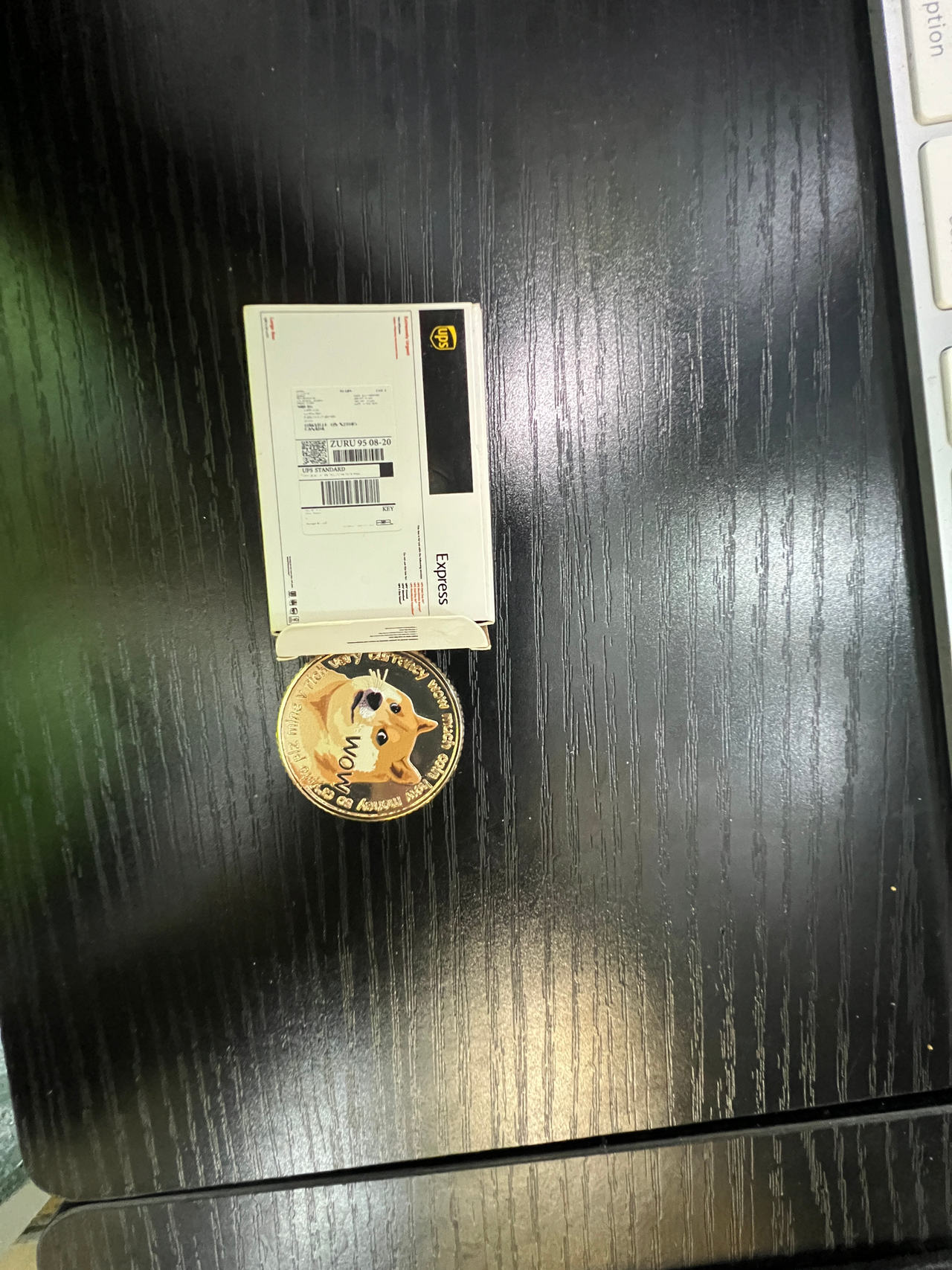 Zuru 5 Surprise Mini Brands Series 5 collectible,  a miniature Dogecoin