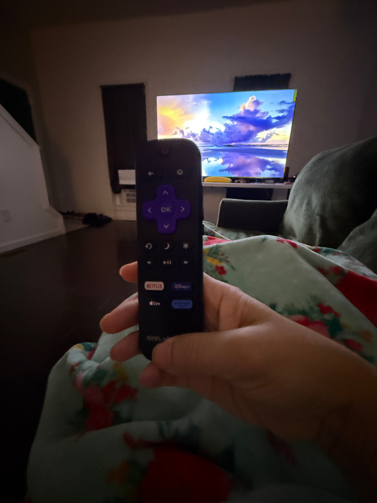 Roku Voice Remote