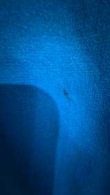 XL Bright Blue Mens Under Armour Big Logo Hoodie - Image 3