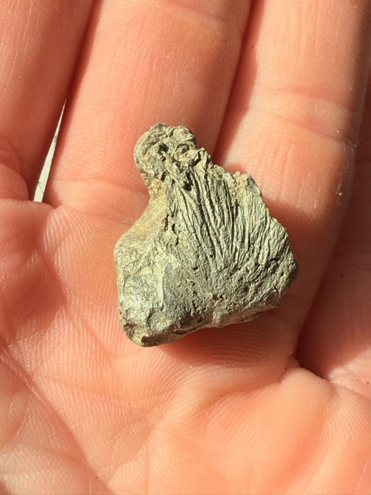 Pyrite Rough Palm Stone Gold