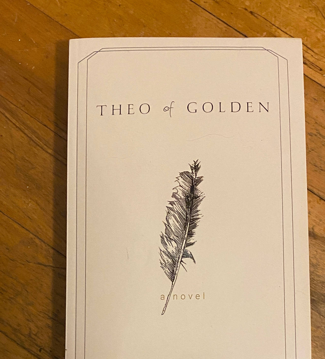 Theo of Golden by Allen Levi, great inspiring book