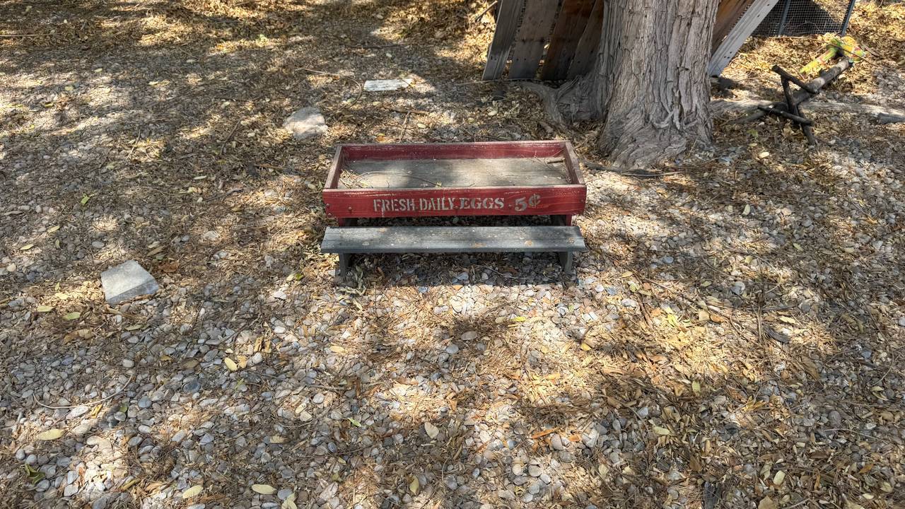 Handmade Wooden Chicken Picnic Table Feeder