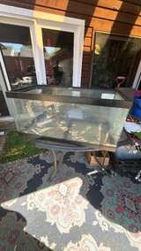 Tetra 40 Gallon Breeder Glass Aquarium - Image 2