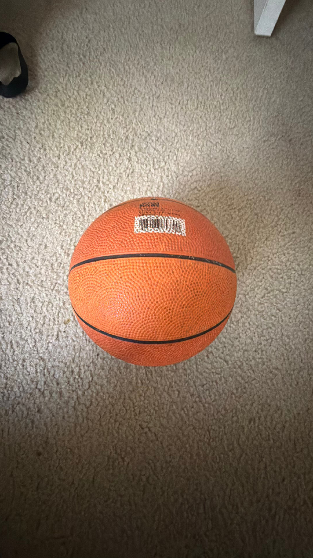 Basketball for Kids!