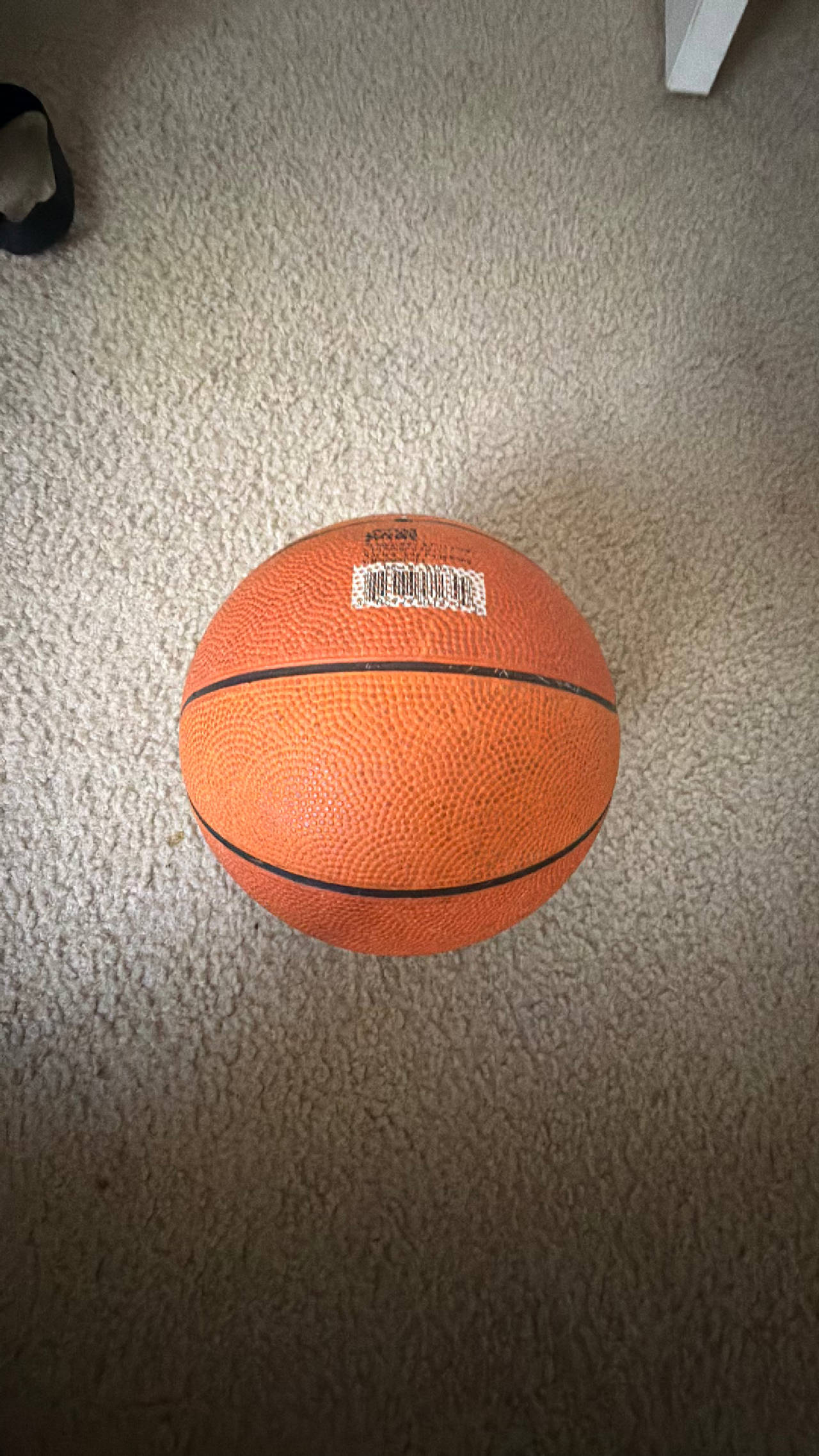 Basketball for Kids!