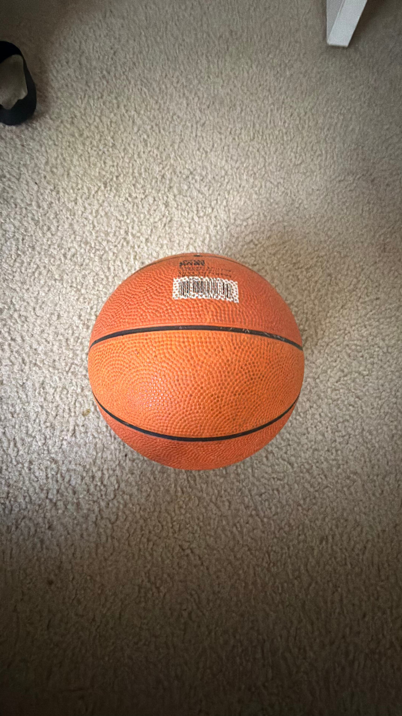 Basketball for Kids!