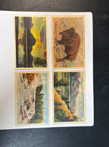Vintage Yellowstone and Grand Teton National Park Linen Postcards - Image 1