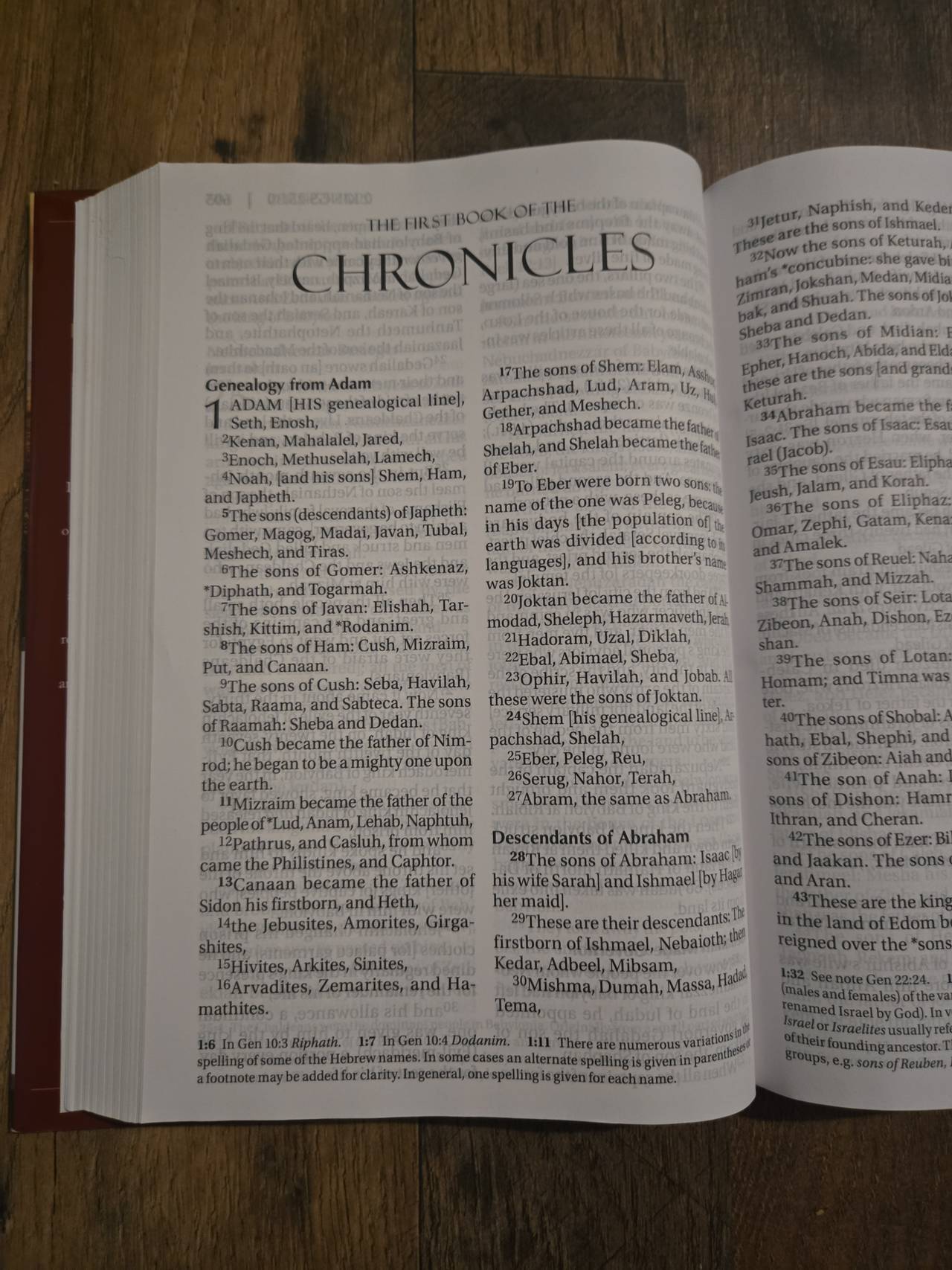 Amplified Holy Bible, Large Print, Hardcover New