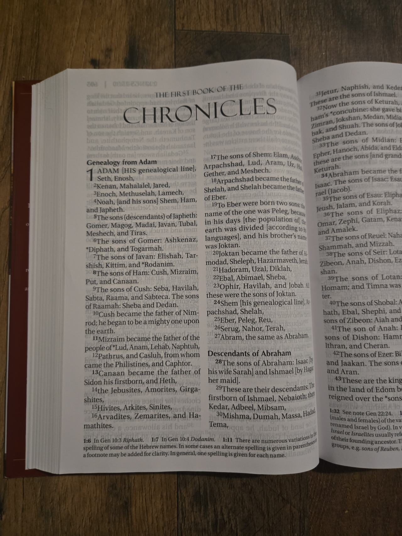 Amplified Holy Bible, Large Print, Hardcover New