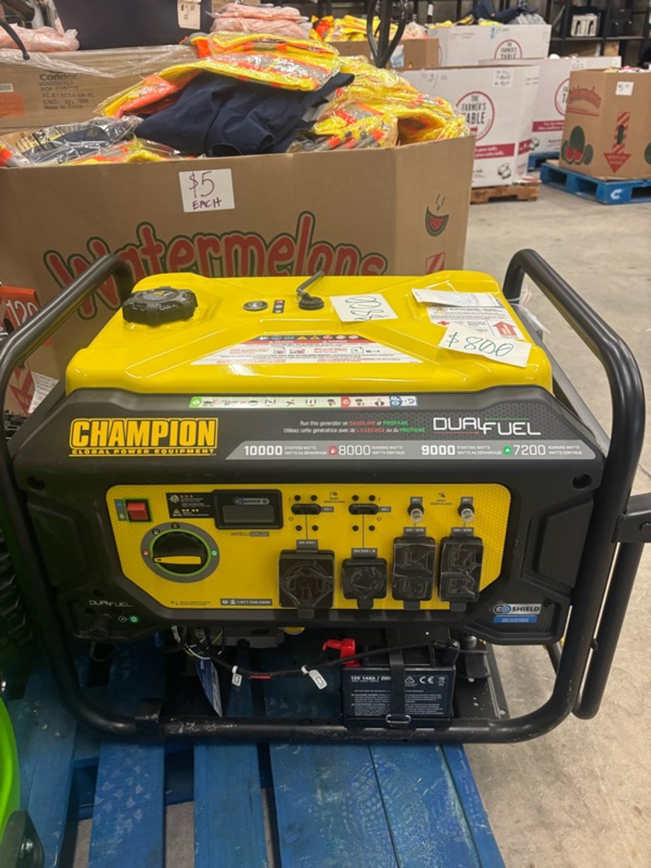 Champion Dual Fuel Portable Generator