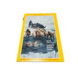 National Geographic Magazine 1984 5 Total Issues - Image 4