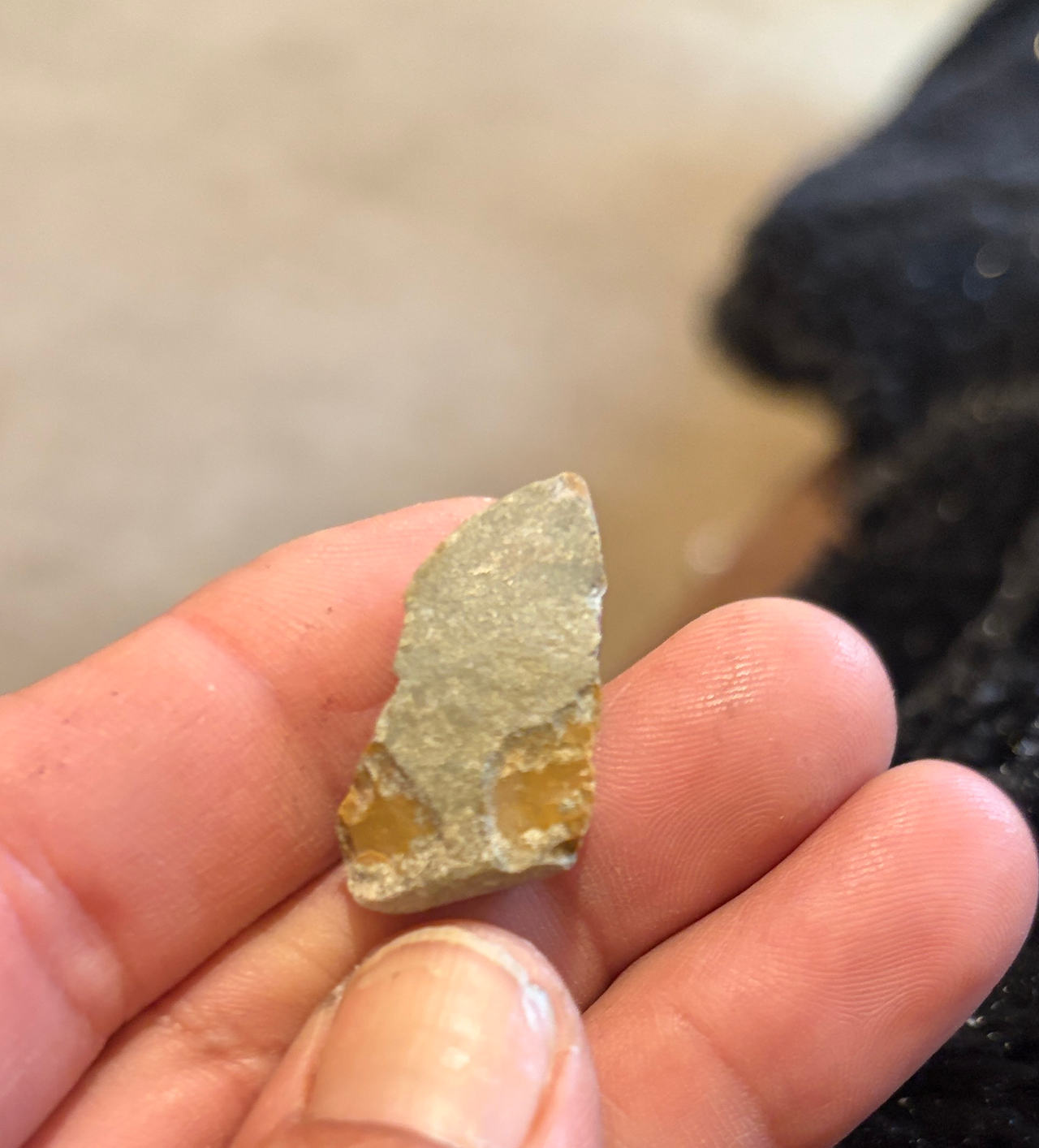 Authentic Arrowhead Fragment