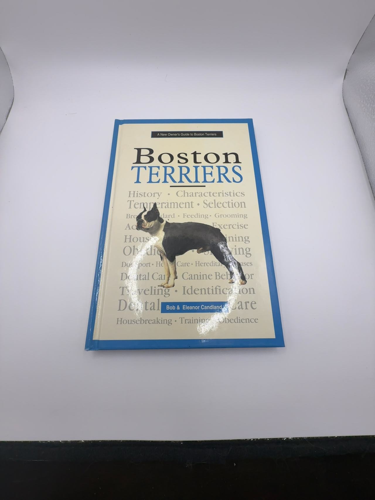 New Owner's Guide to Boston Terriers