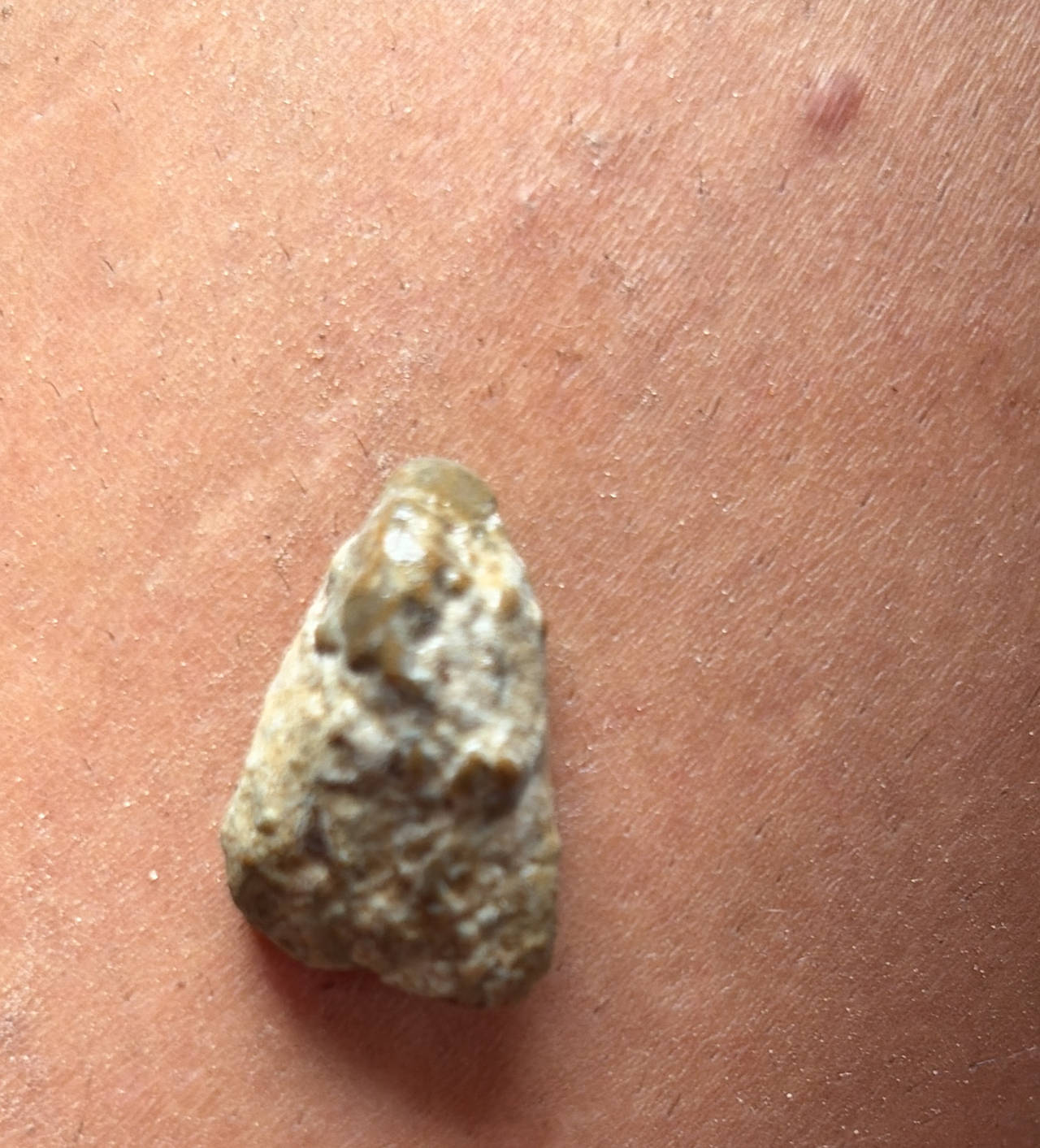 Stone Arrowhead / Projectile Point