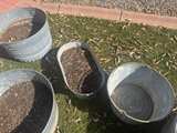 Vintage Metal Tin Can Rusty Steampunk Trash Pail- $20 Each - Image 3