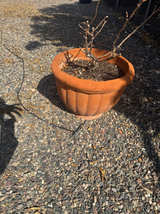 Terracotta Planter Pot - Image 1