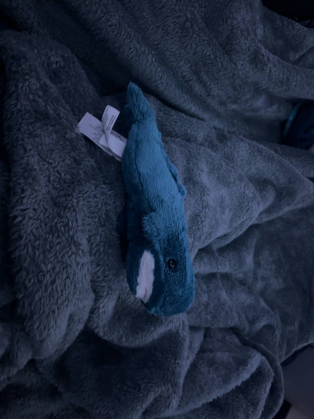 Wally Whale Small Plush Toy