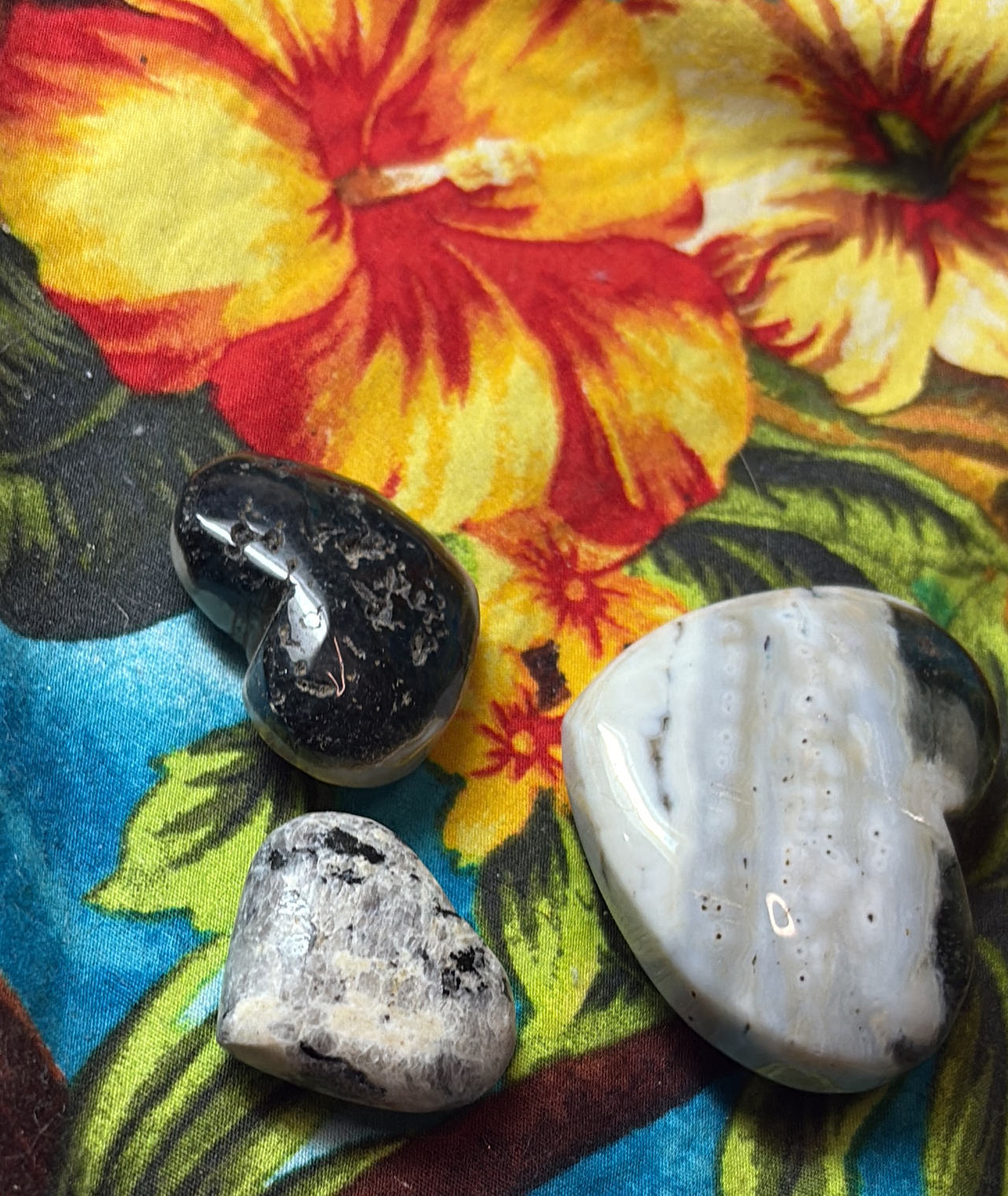 Orca Agate Polished Hearts(8)