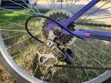 Roadmaster Mountain Bike - Image 3