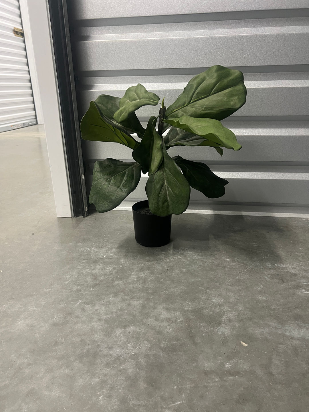 Artificial Fiddle Leaf Fig Plant