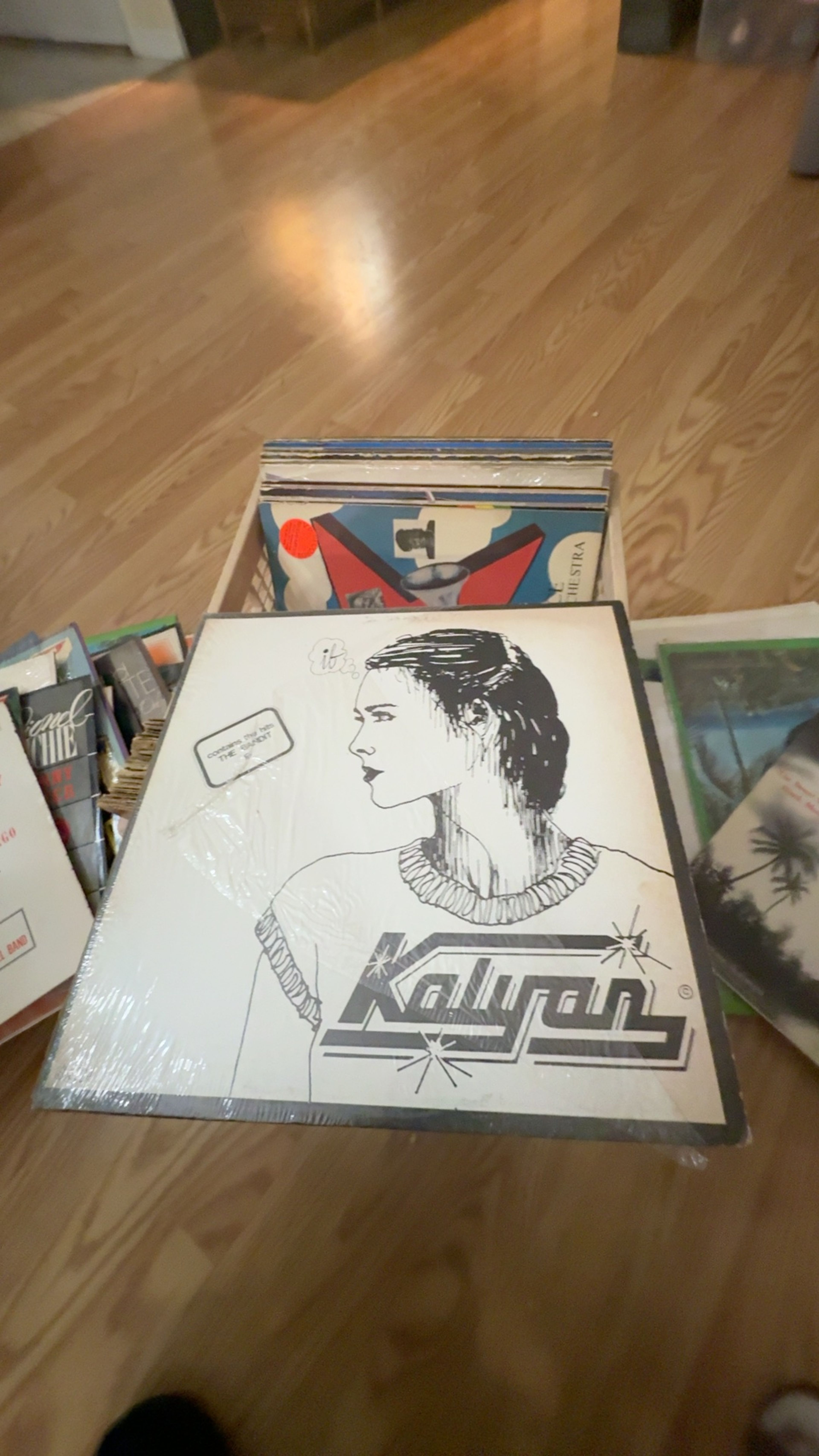 Helicon - You... See 12" Vinyl Single (1983)