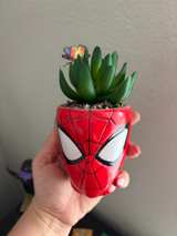 Marvel Spider-Man Mask Ceramic Planter with Artificial Succulent - Image 1