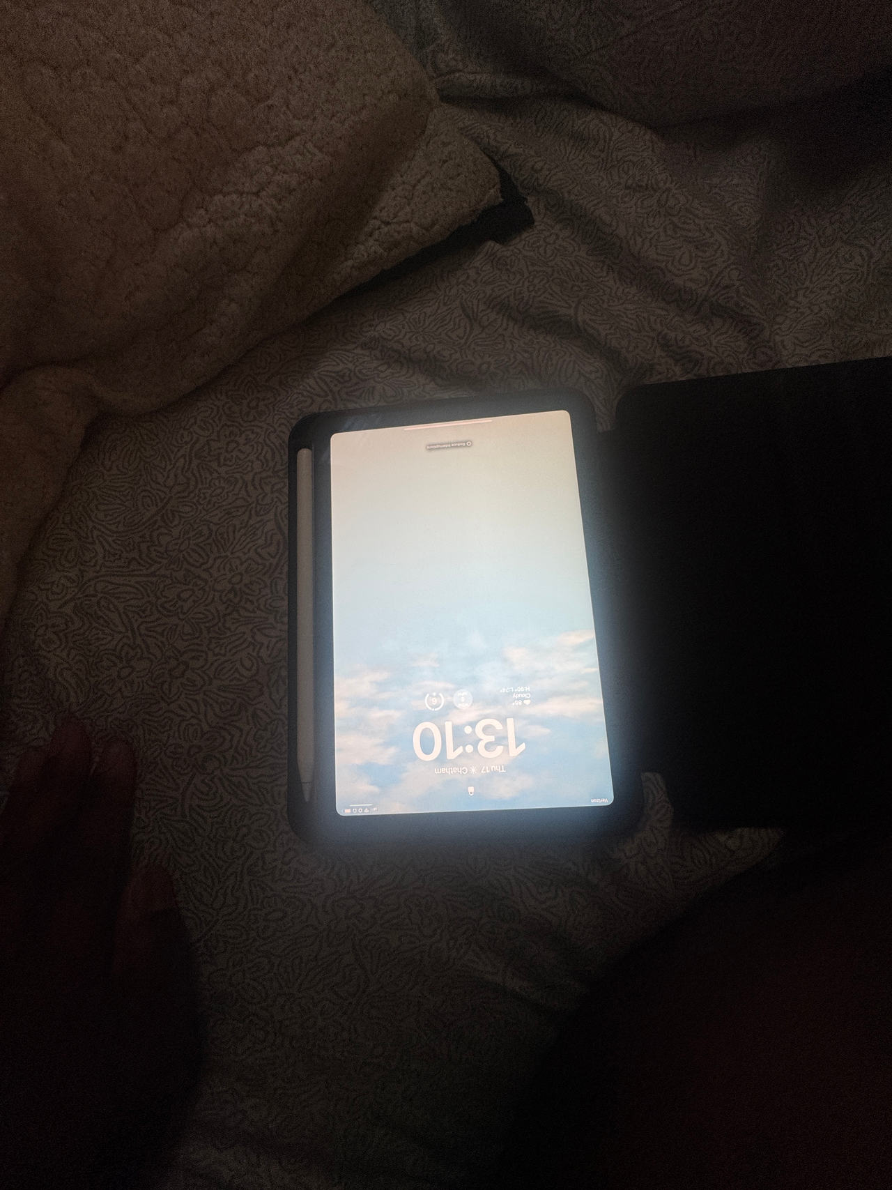 Apple iPad