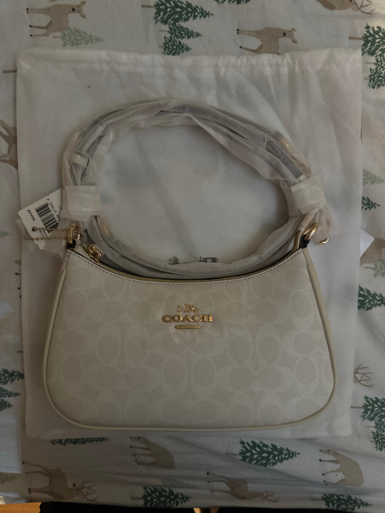 Coach Teri Shoulder Bag in Signature Canvas
