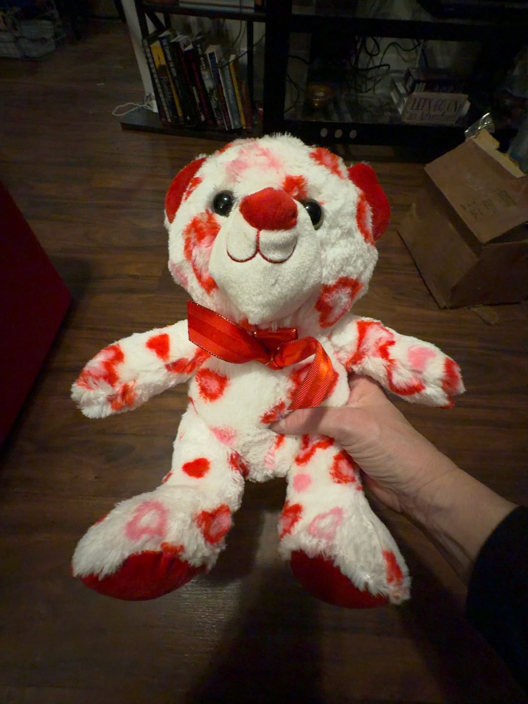 Valentine's Plush Teddy Bear (Red & Pink