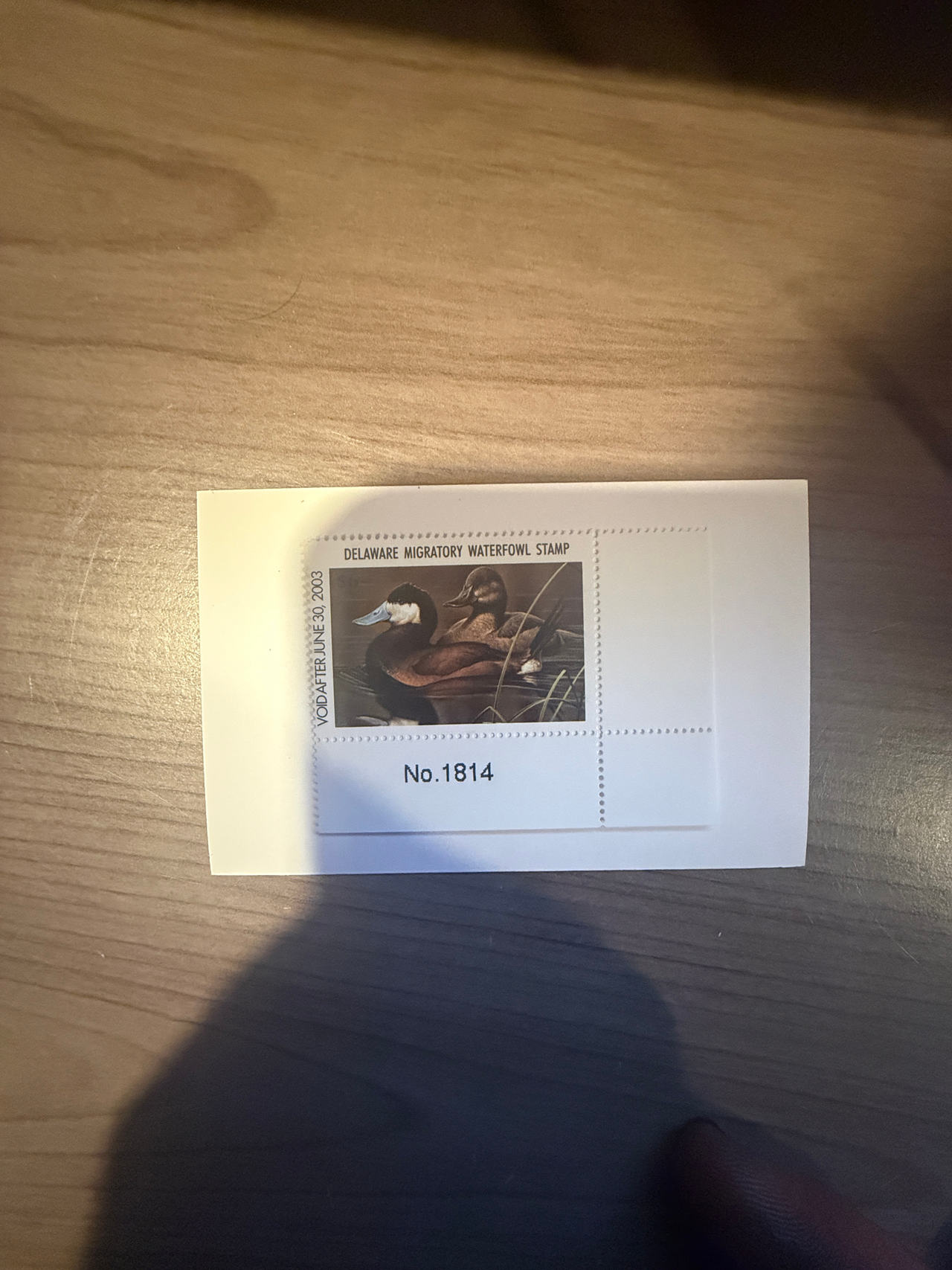 2002 Delaware Migratory Waterfowl Stamp No. 1814