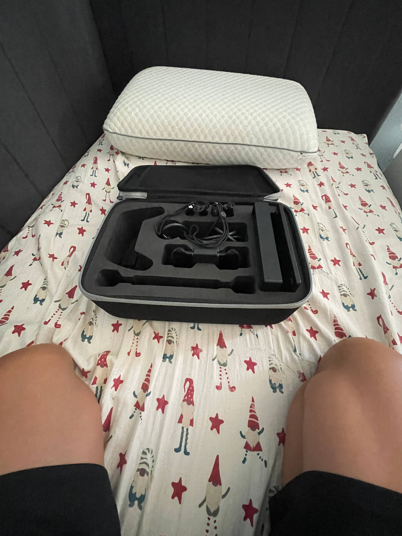 Nintendo carrying case