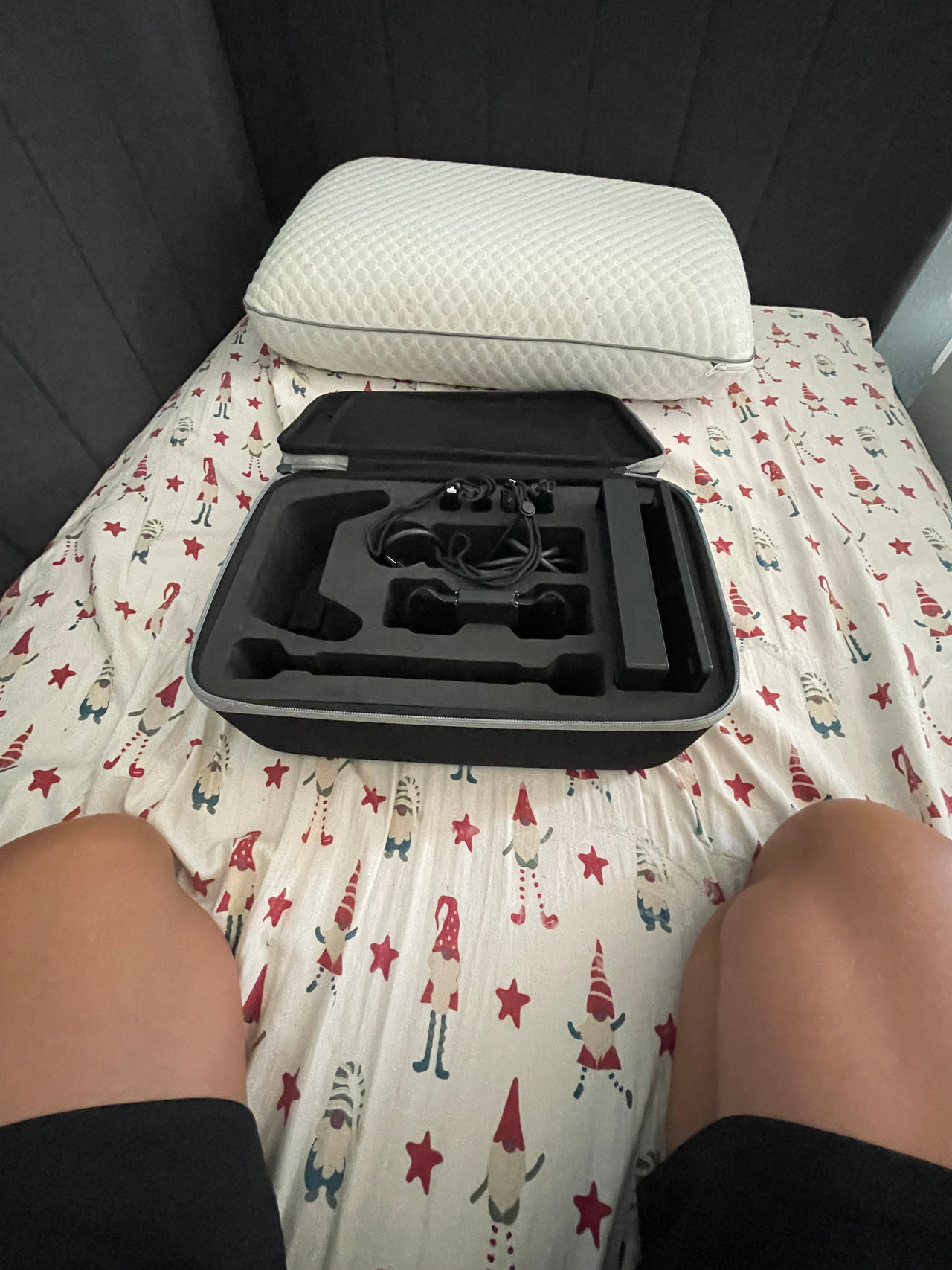 Nintendo carrying case