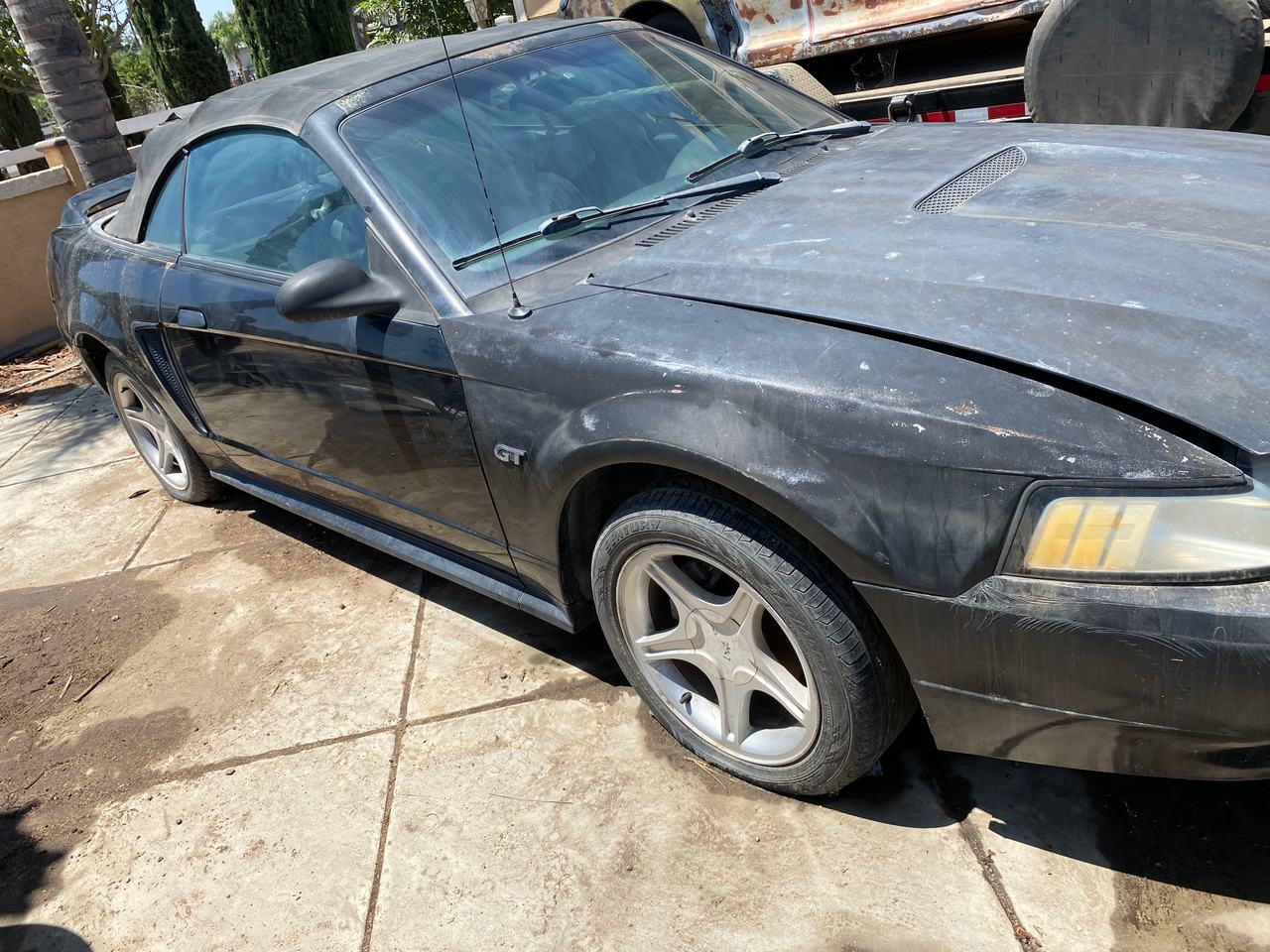 Ford Mustang GT Convertible