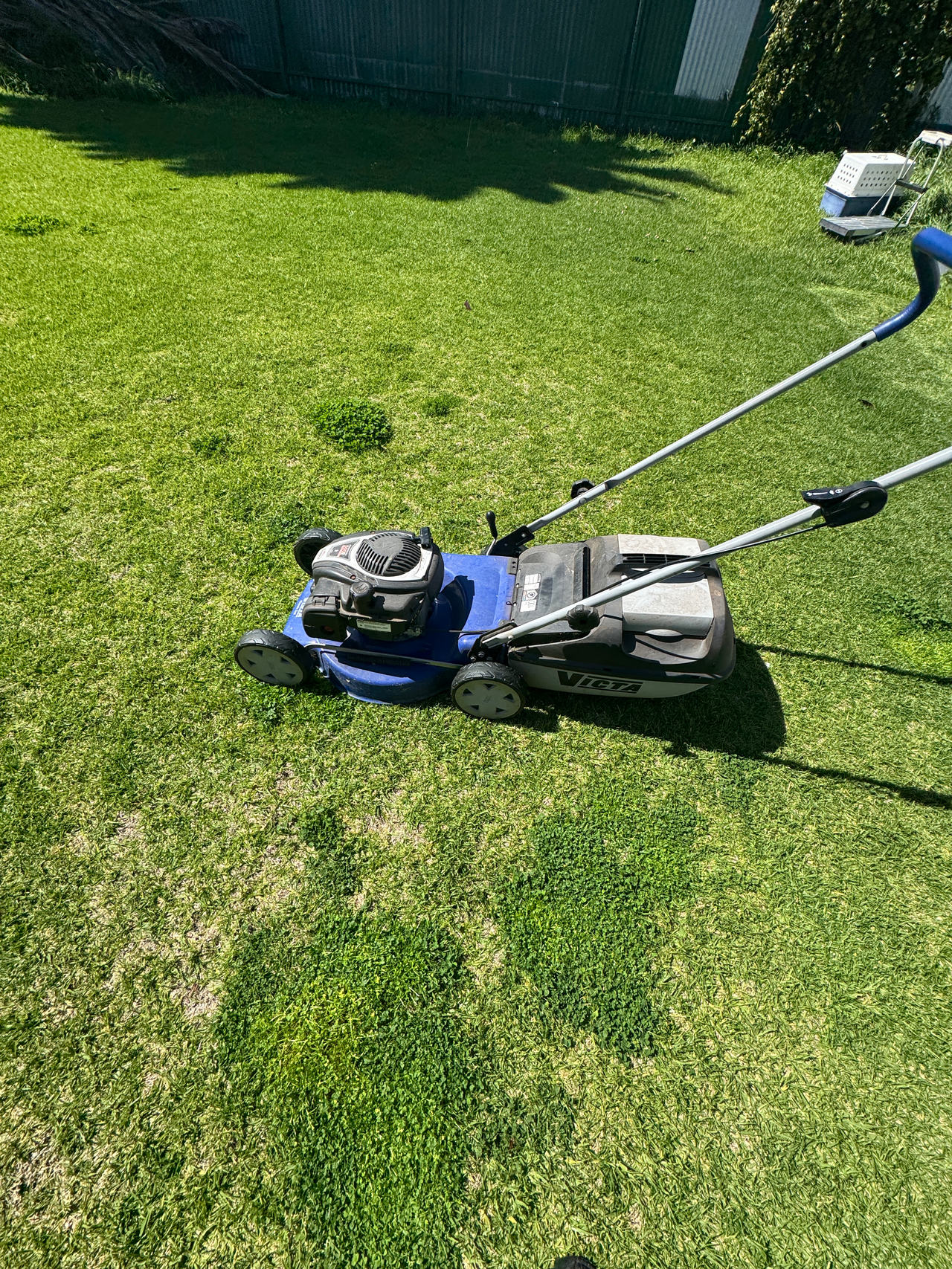 VICZ Petrol Lawn Mower