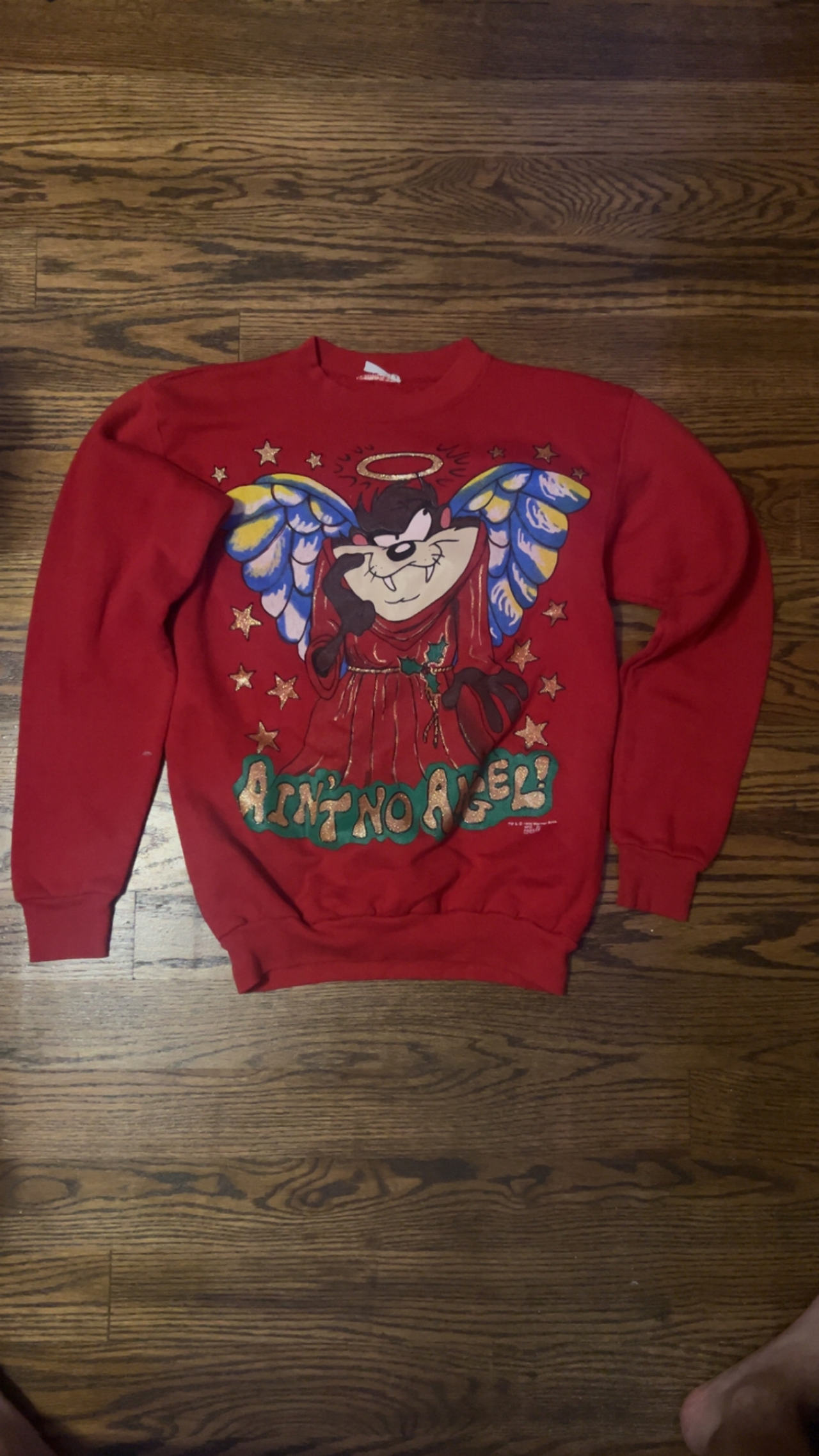 Looney Tunes Taz 'Ain't No Angel' Sweatshirt