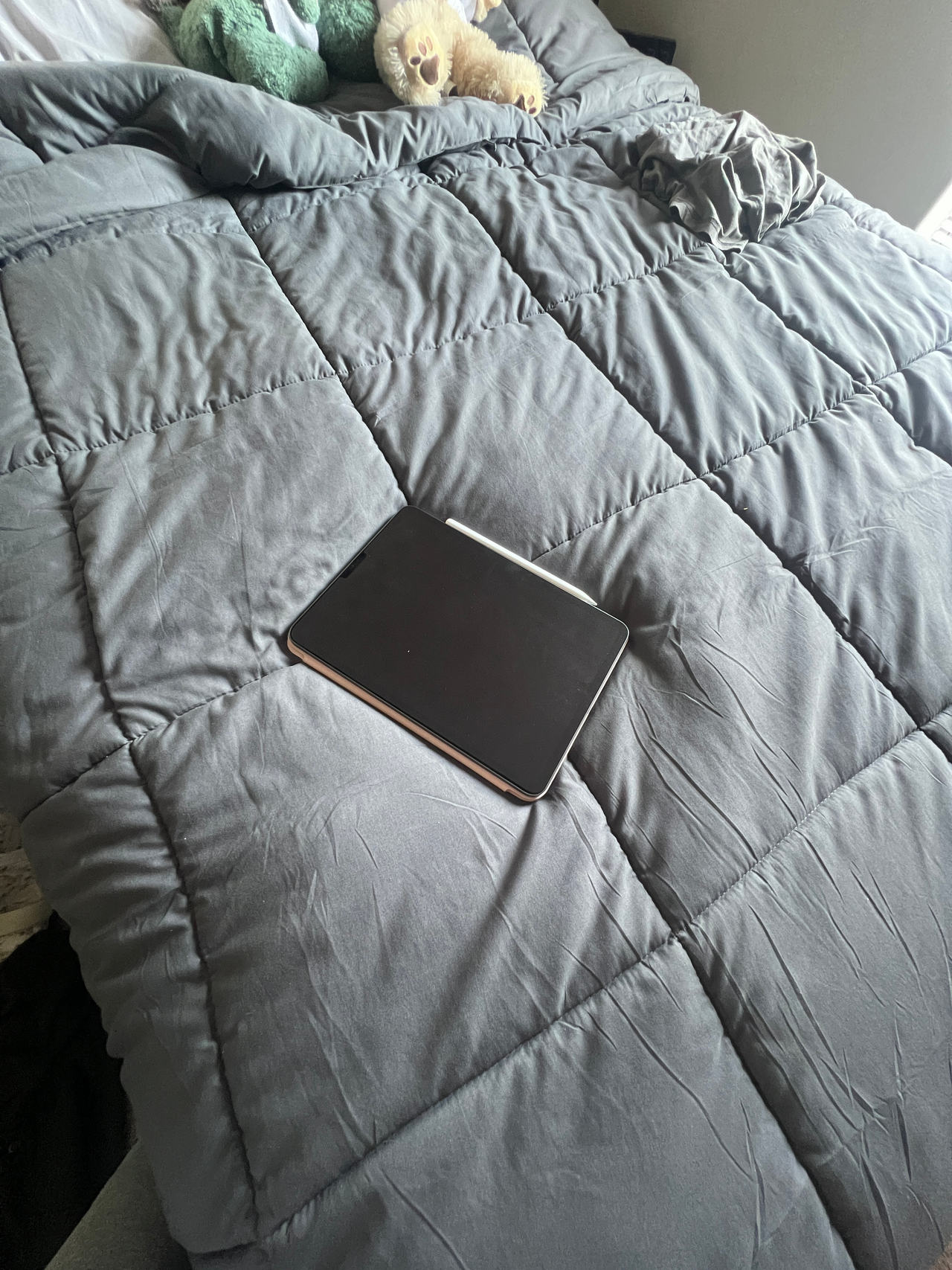 Apple iPad Pro