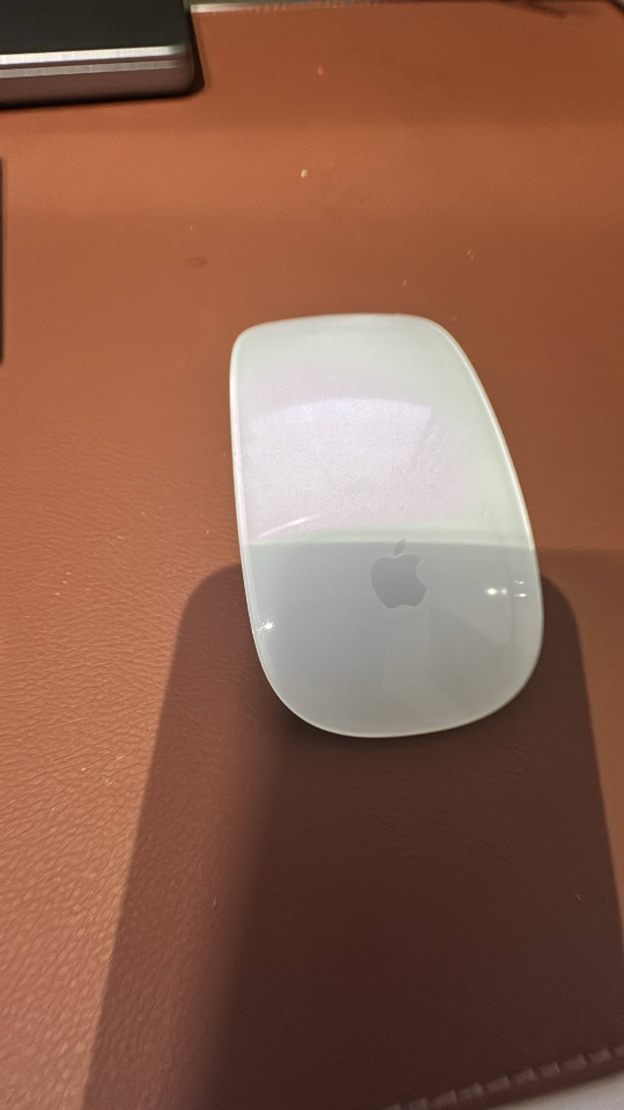 Apple Magic Mouse