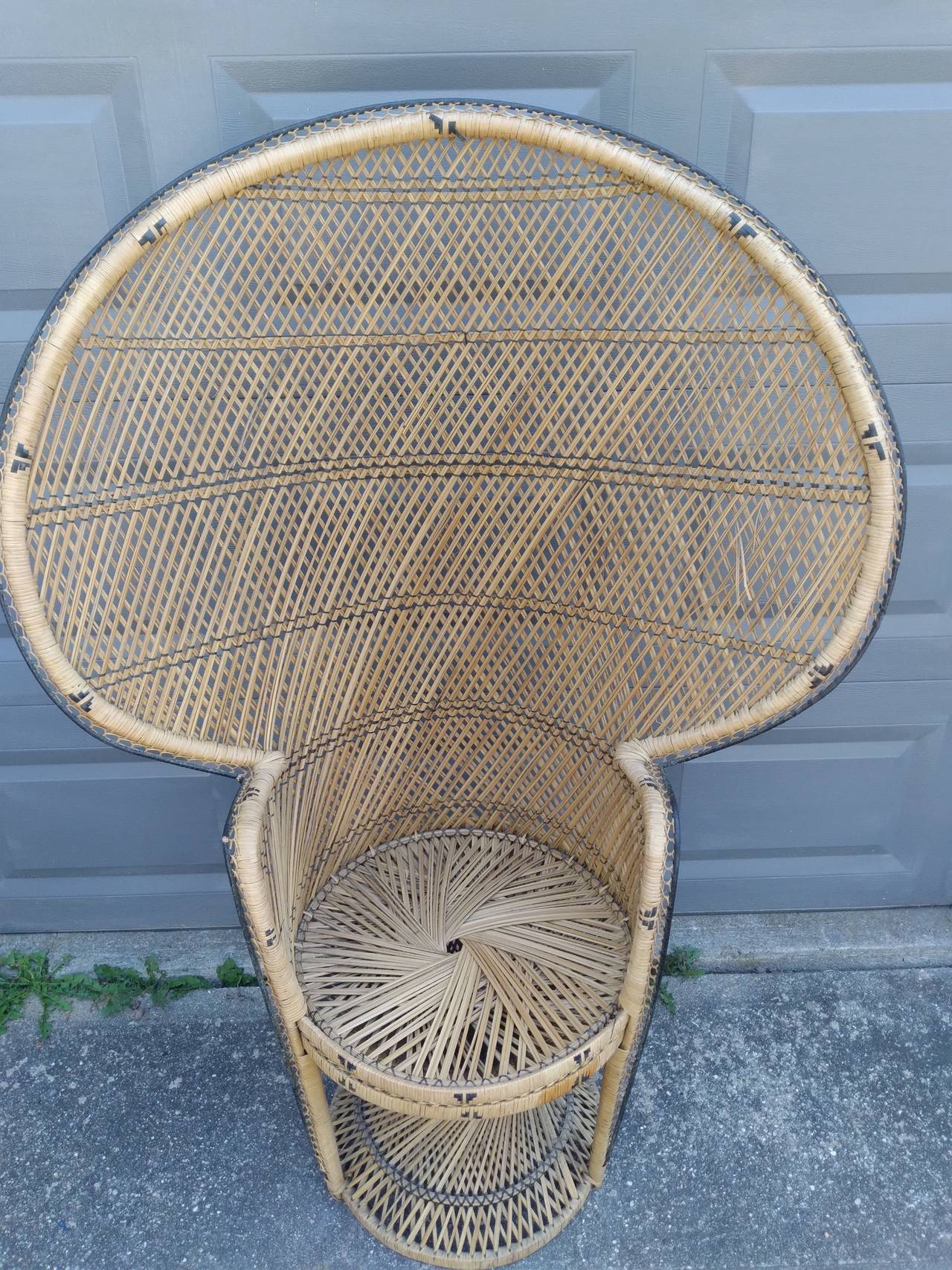 Peacock Chair