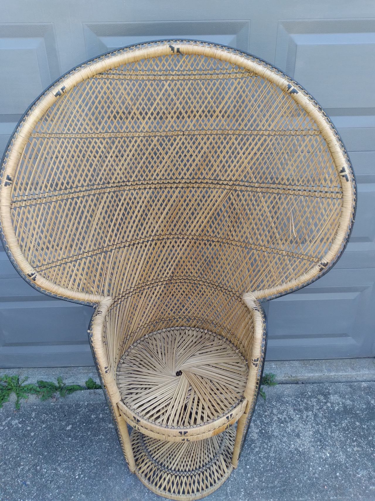Peacock Chair